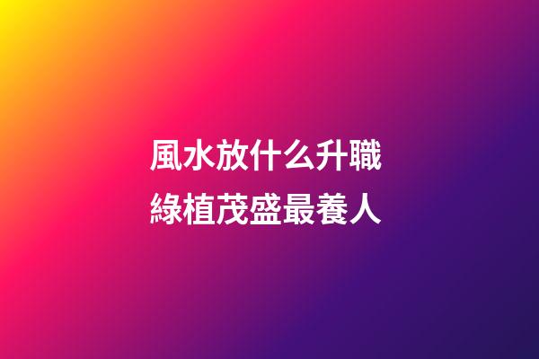 風水放什么升職 綠植茂盛最養人